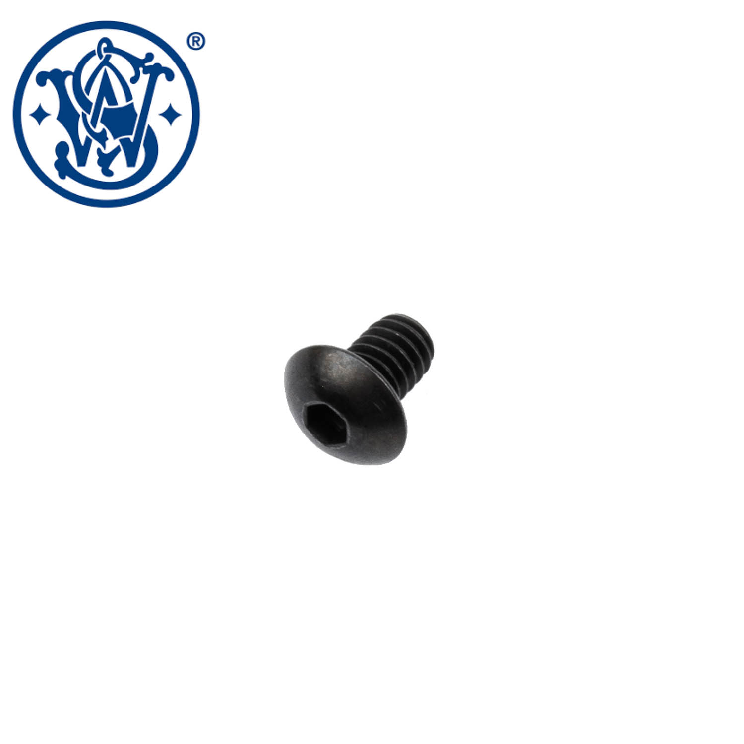 Smith & Wesson SW22 Victory Sight Bridge Screw
