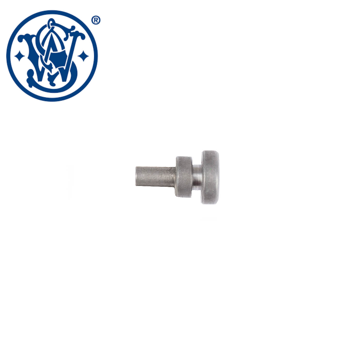 Smith & Wesson SW22 Victory Magazine Load Assist Button