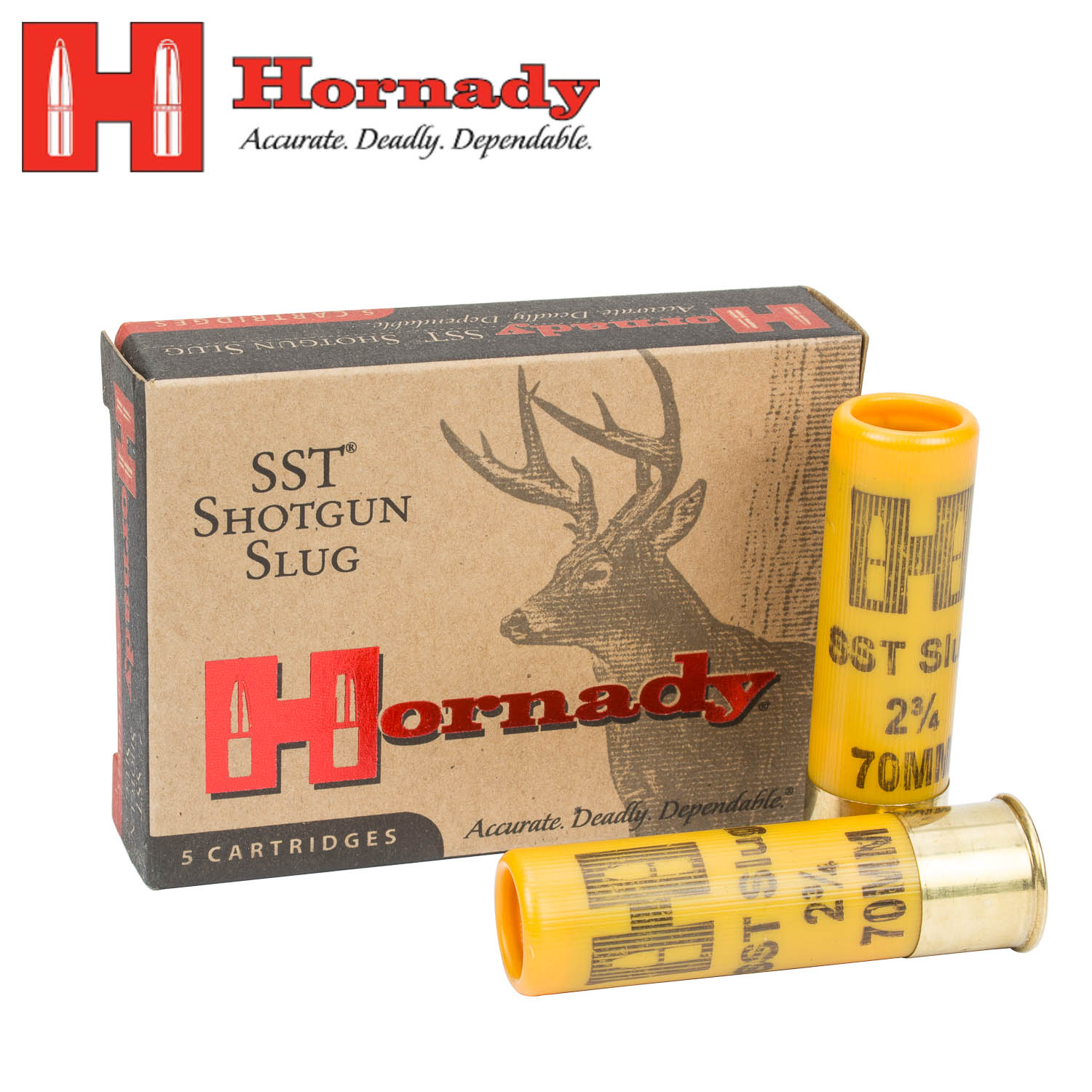 Hornady 20 Gauge 2-3/4" 250gr. SST Slug Ammunition, 5 Round Box
