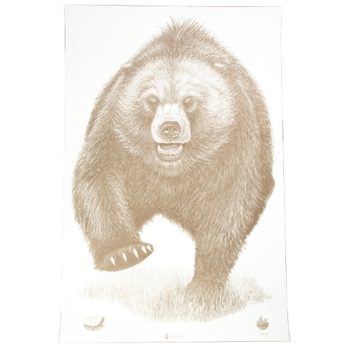 Action Target Alaska State Parks Bear Target, 23"x35", 100 Per Box