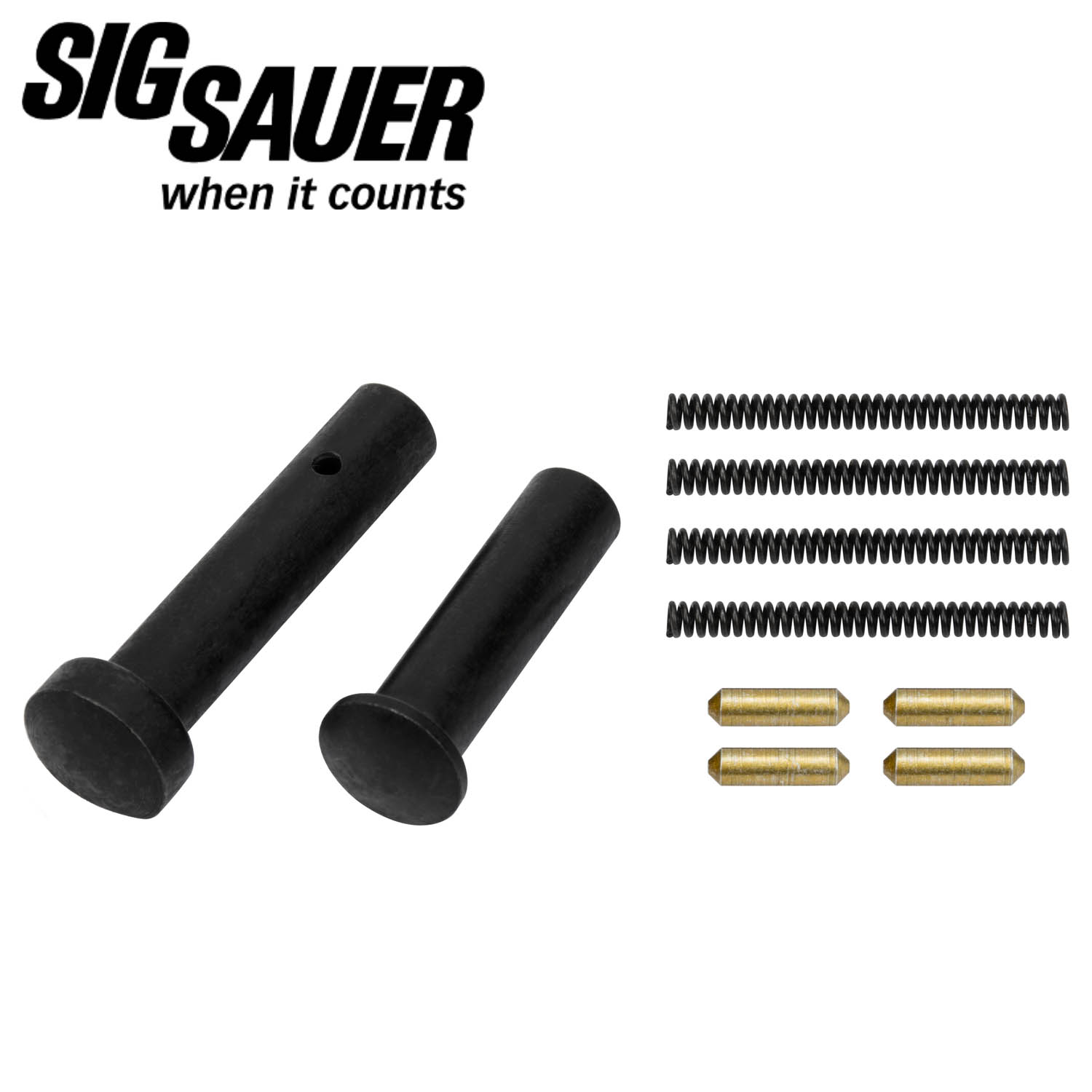 Sig Sauer MCX Takedown Pins and Springs Kit