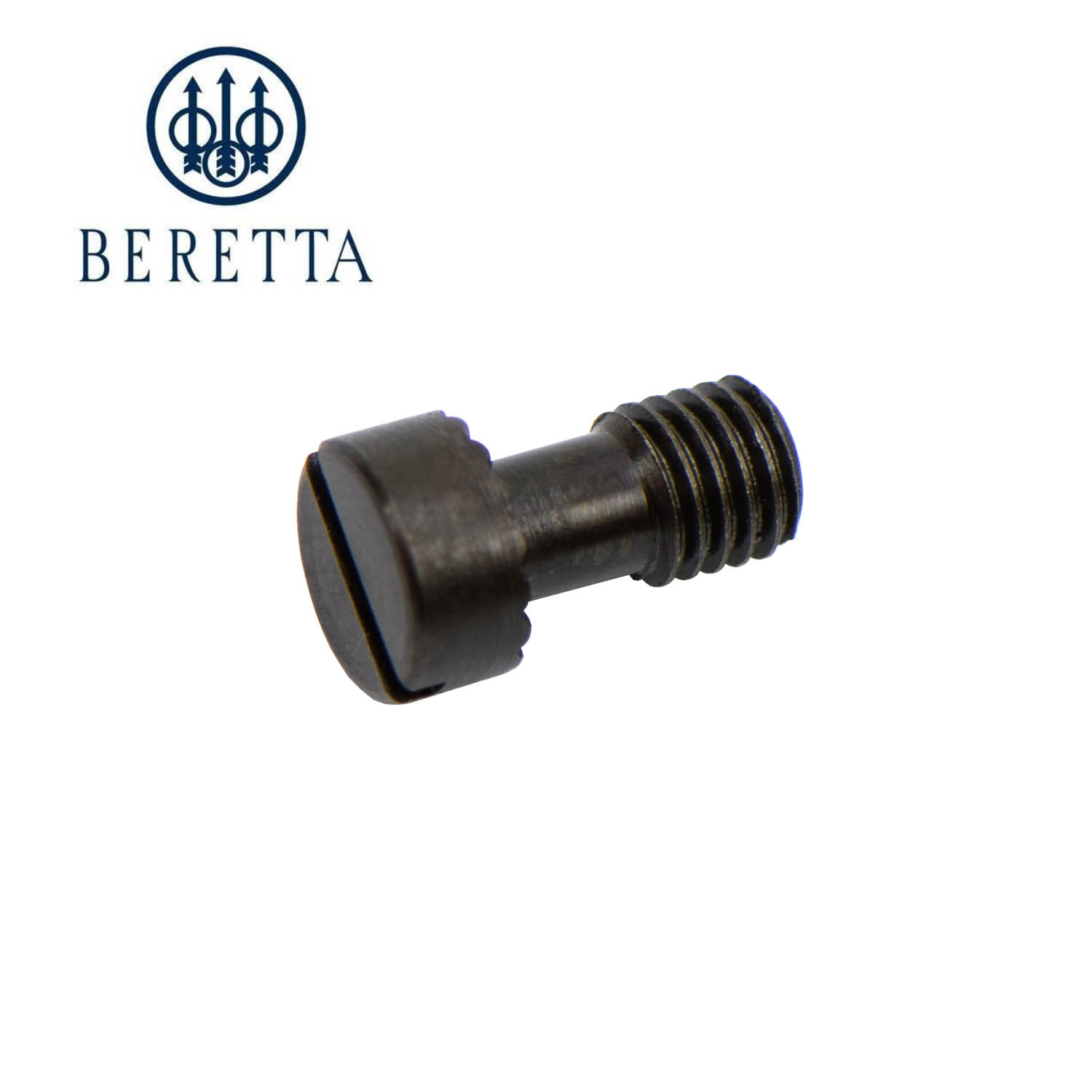 Beretta Neos Rear Sight Elevation Screw
