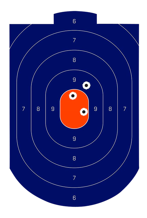 Birchwood Casey BC- Dirty Bird Silhouette Target Silhouette Tagboard Target 12" x 18" 100 Per Pkg