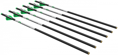 Centerpoint Crossbow Arrows 20" 6 Pack 400GR