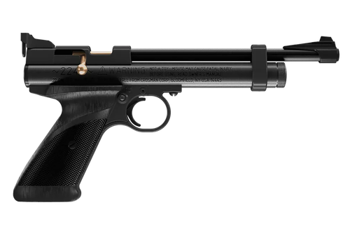 Daisy Black Polymer CO2 22 Cal, Single Shot Bolt Action