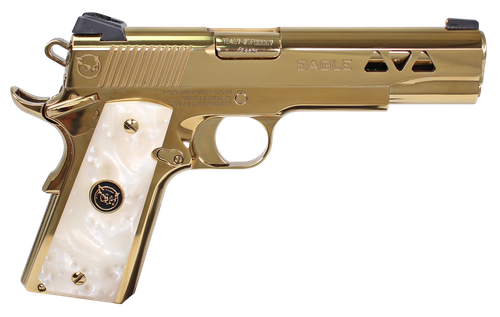 Iver Johnson Golden Eagle G2 45 ACP, 5IN