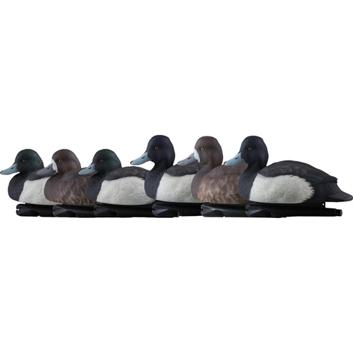 Avian-X AvianX Top Flight Duck Decoys Blue Bills 6 pk. AVX-AVX8088