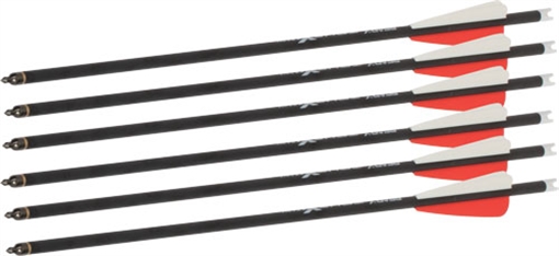 Bear Bear X TrueX Max Crossbow Bolts 20 in. 6 pk. ACBK23