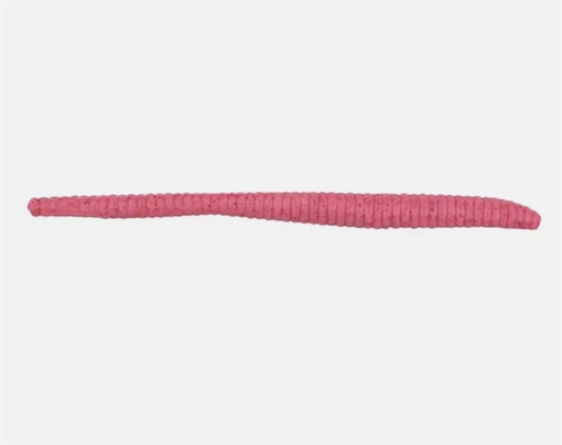 BERKLEY FISHING PRODUCTS FLOATING TROUT WORM BUBBLEGUM 2 1/2IN 1139672