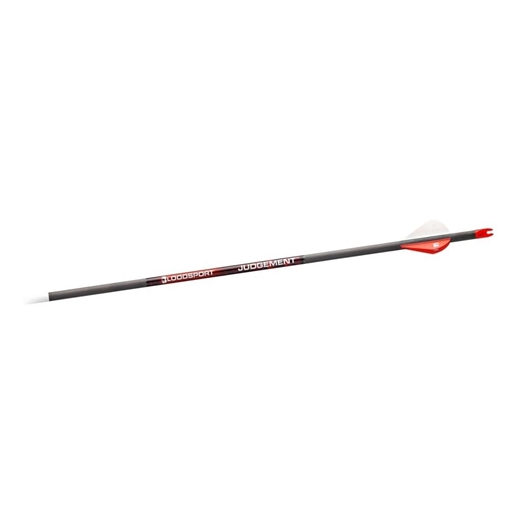 Bloodsport Judgement Arrow 500 Spine 6/pk BLS-PSB150106