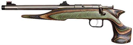 Chipmunk Hunter Adult 22 Mag 1rd 9" Threaded Stainless Steel Single Shot Barrel, Camo Laminate Stock 41105