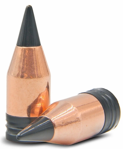 POWERBELT BULLETS ELR 50 CAL 250 GR AT 15PK W LOADING TIP ( 12 PER CASE ) AC1950AT