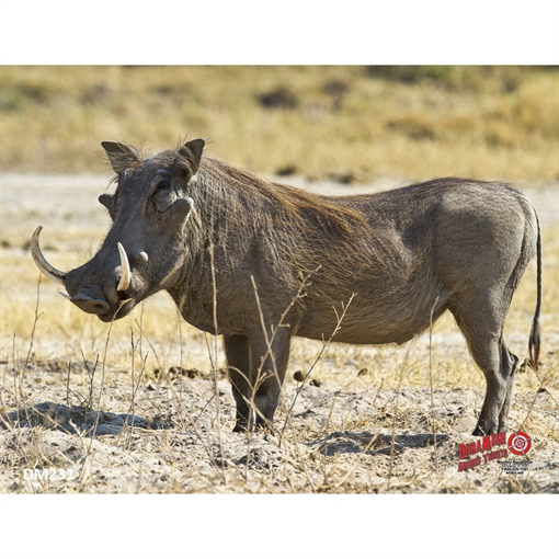 Western Recreation DuraMesh Archery Target Warthog 25 in. x 32 in. DM231