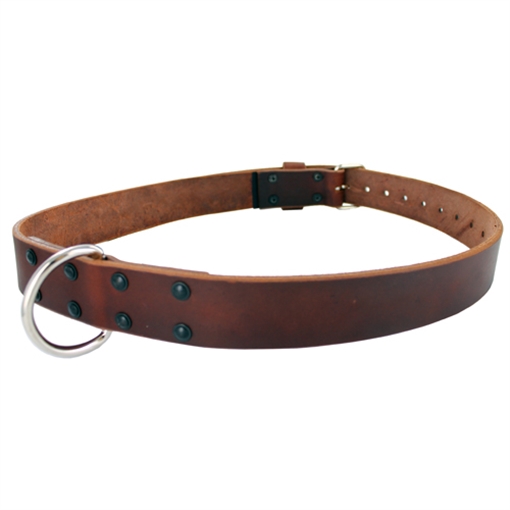 Gould & Goodrich Restraining Belt 189