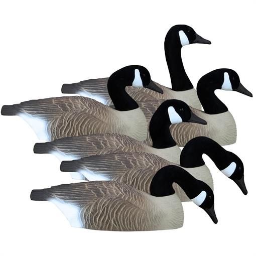 Higdon Outdoors Full Size Half Shell Canada 6pk 77969