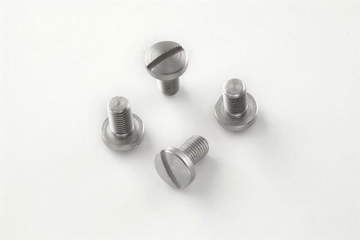 Hogue Govt. and Officers Model Screws (4) Slotted - Stainless Finish 45018