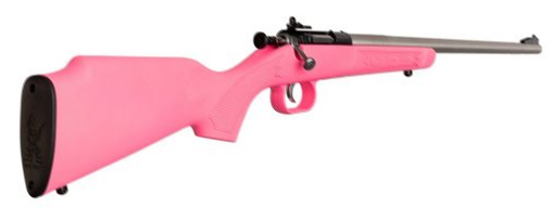 Crickett Youth 22 LR 1rd 16.12" Stainless Single Shot Barrel, Blued Stainless Steel Receiver, Pink Fixed Synthetic Stock, Right Hand KSA2221