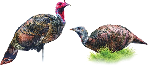 Montana DecoyCo PurrFect Pair XD Turkey Combo 0086