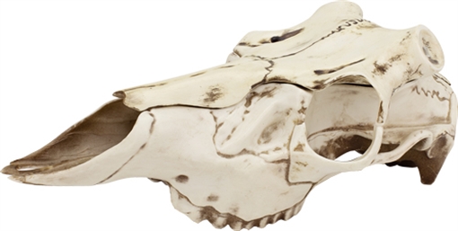 MOUNTAIN MIKE'S MIKE'S NATURAL CAUSES SKULL MASTER MEDIUM MMRSMMNC