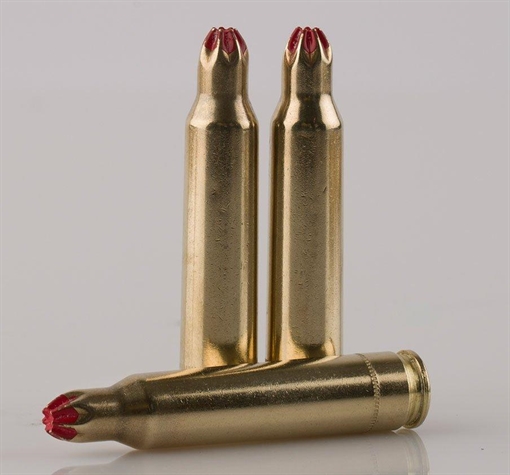 PPU Blank Rifle Ammunition .30-06 Springfield Blank M-1999 15/ct PPB3006