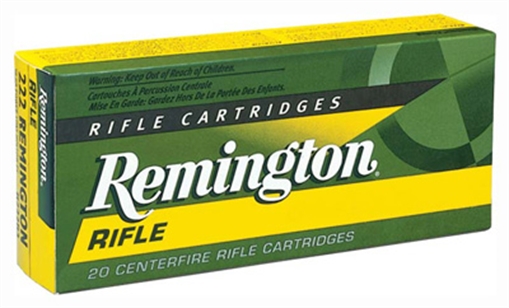 REMINGTON 45-70 GOV 300GR JHP 20RD 10BX/CS 21461