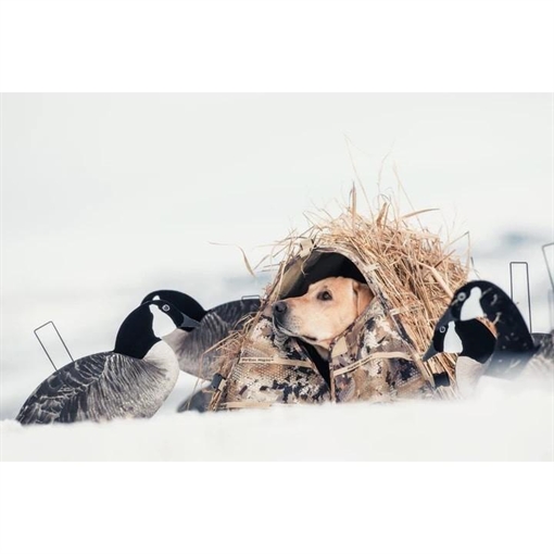 Rig 'Em Right Field Bully Dog Blind Optifade Marsh 023-M