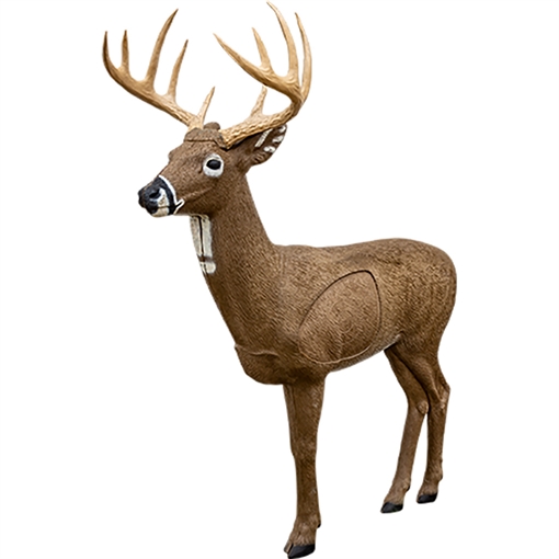 Rinehart Big Jim Target 20211