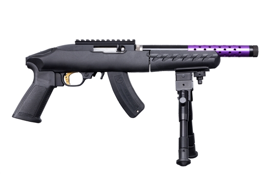 RUGER 22 CHGR TD 22LR 15R 10P DE 4932