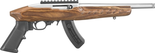 RUGER 22 CHARGER 22LR 10" STS/BR 15R 04919