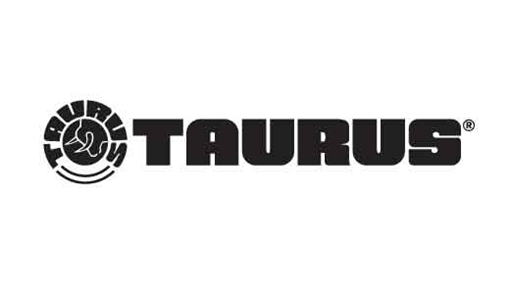 Taurus GX2 9mm 10+1 3.37" Matte Stainless Steel Barrel, Matte Black Serrated Stainless Steel Slide, Tan Polymer Frame w/Picatinny Rail, Polymer Grip 1-GX2931T-10