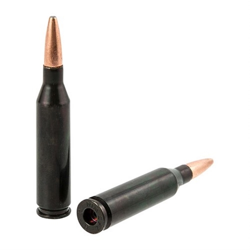 Traditions TRADITIONS RIFLE TRAINING CARTRIDGE 243 WINCHESTER (2 CT) ATR243WIN