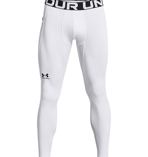 Under Armour ColdGear Leggings 1366075100LG