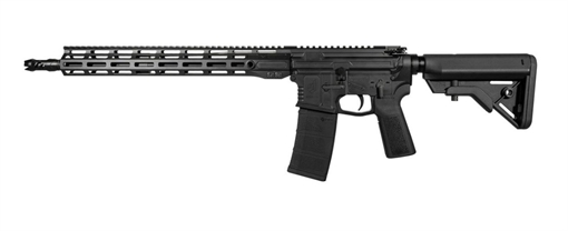 WARRIOR SYSTEMS WSM15 300BLK 16" BLACK 30+1 8013101